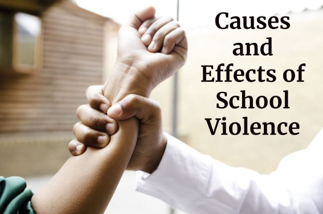 Causes and Effects of School Violence